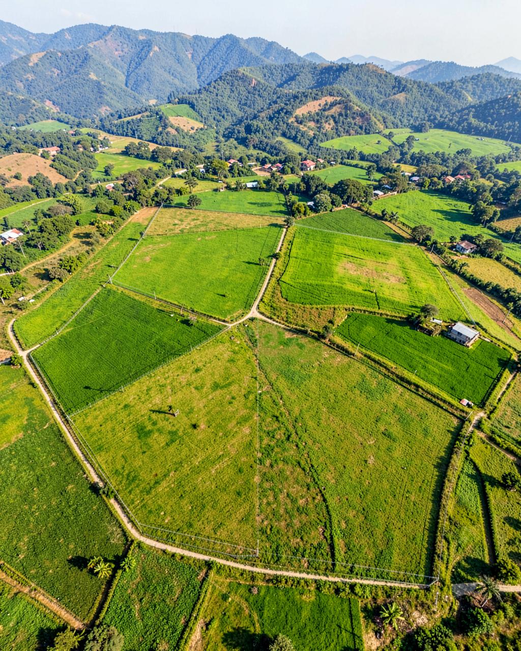 Land